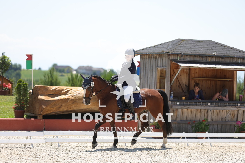 0P6A6319 | Willkommen bei Brunnmayr - Design & Fotografie – Ihrem Spezialisten für Reitturniere und Pferdeveranstaltungen in Oberösterreich, Salzburg und Bayern! Seit über 17 Jahren sind wir leidenschaftlich dabei.