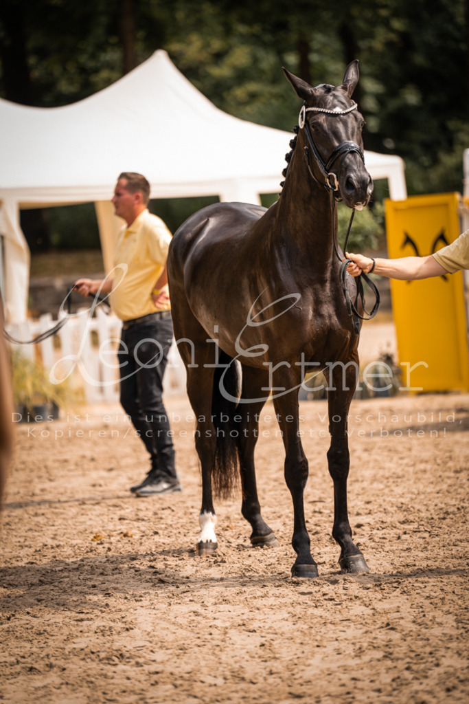 4.Fr00216 | Leoni Ertmer Photography - Realisiert mit Pictrs.com