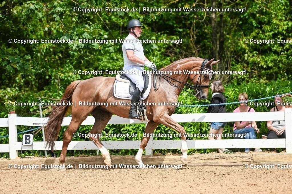 20230716_01_Dressurprüfung Kl.M_0082 | equistock