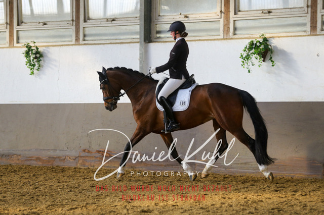 IMG_2144 | Turniersportfotografie; Pferdefotografie; Dressurfotografie