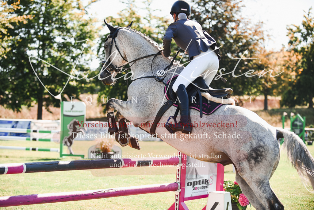 DSC_2540 | Pferde- und Turnierfotografie in Westsachsen. Pferdeportraits, Auftragszeichnungen und intuitive Kunst.