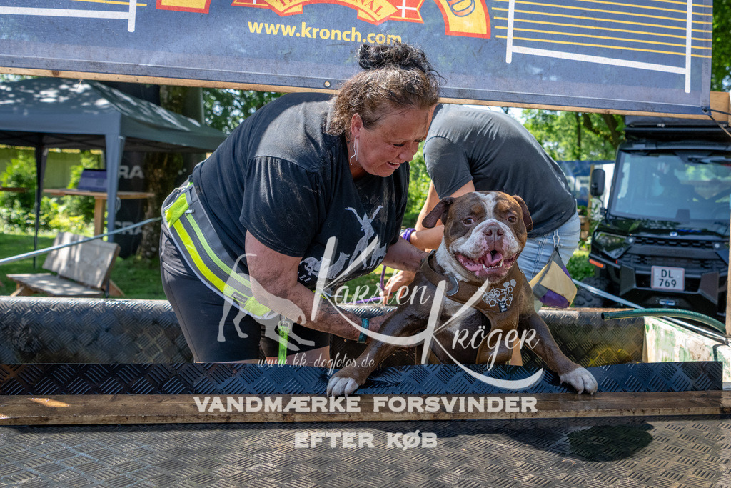 1246_ZZ92268 | kk-dogfotos