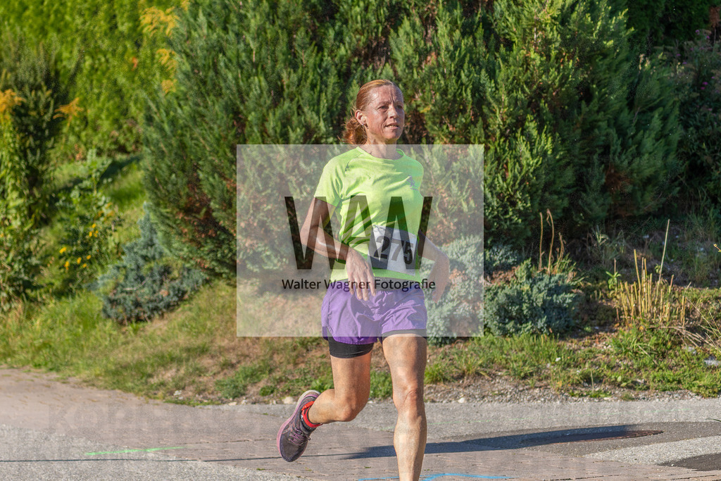 DSC00781 | walter-wagner-fotografie