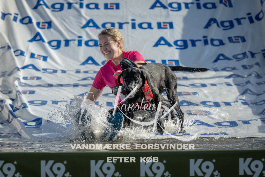 0917_ZZ94689 | kk-dogfotos