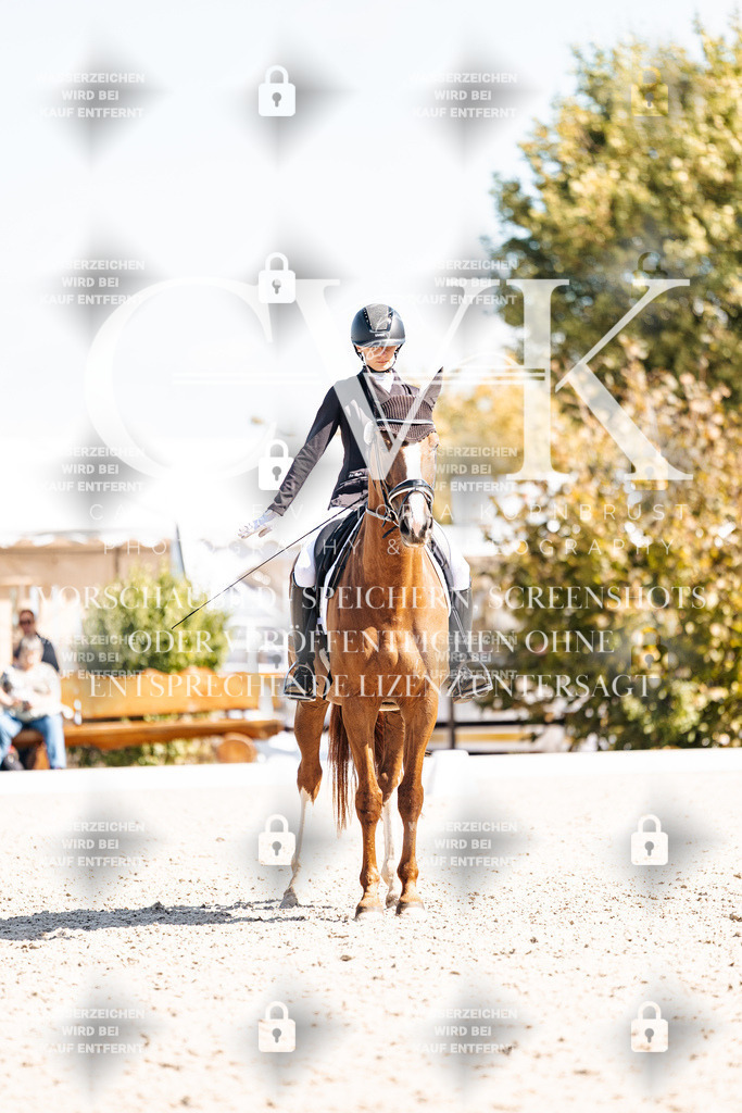 CK903887 | Turnierfotografie Pferdefotografie Trier Rheinland-Pfalz Pferdesport Reitsport Tierfotografie Sportfotografie Pferdevideo Pferdevideografie Equestrianvideography equestrianphotography  - Realisiert mit Pictrs.com