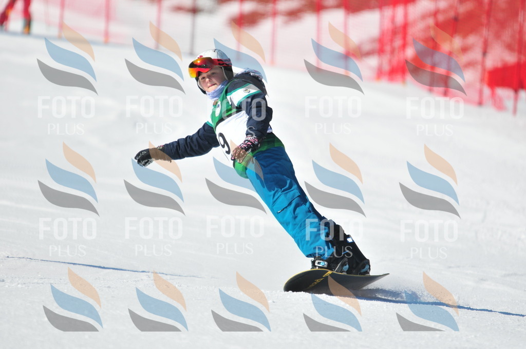 C2393 | holidayphoto