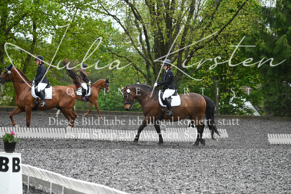 20230512_JK-Röhrsdorf-07-126 | Pferde- und Turnierfotografie in Westsachsen. Pferdeportraits, Auftragszeichnungen und intuitive Kunst.