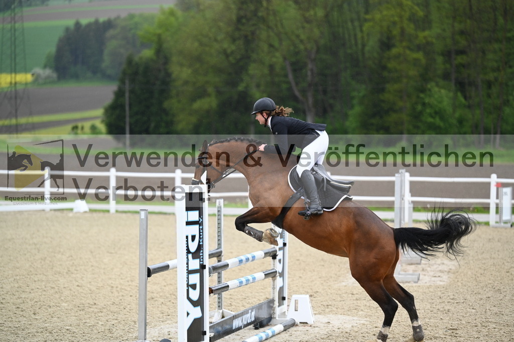 DSC_0039 | equestrian-live-com