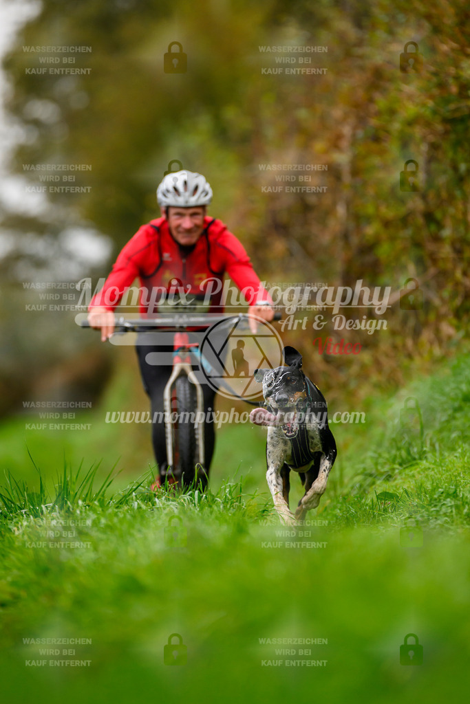 MompixPhotography_20TSB_E8_DS1-54 | PayLife