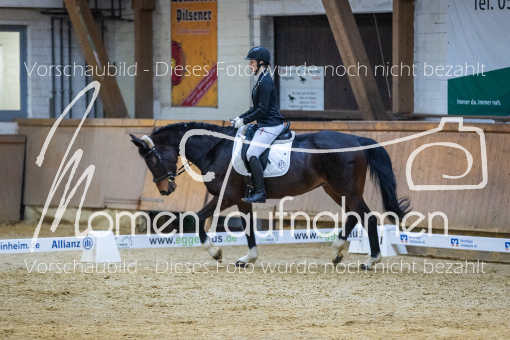 Sth-WBO25-DrR-113 | MomenTaufnahmen Pferdesportfotos