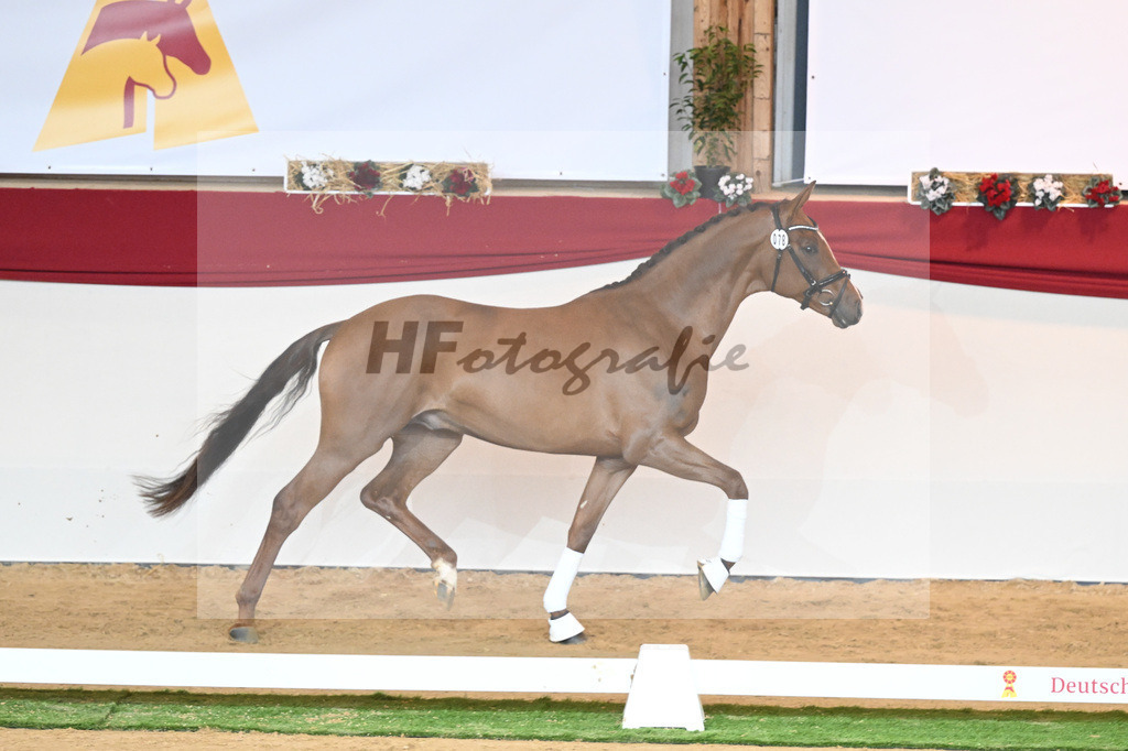 Kat-Nr. 78 Viva Gold_Casper u Eulich_1230488 | hf-fotografie - Realisiert mit Pictrs.com