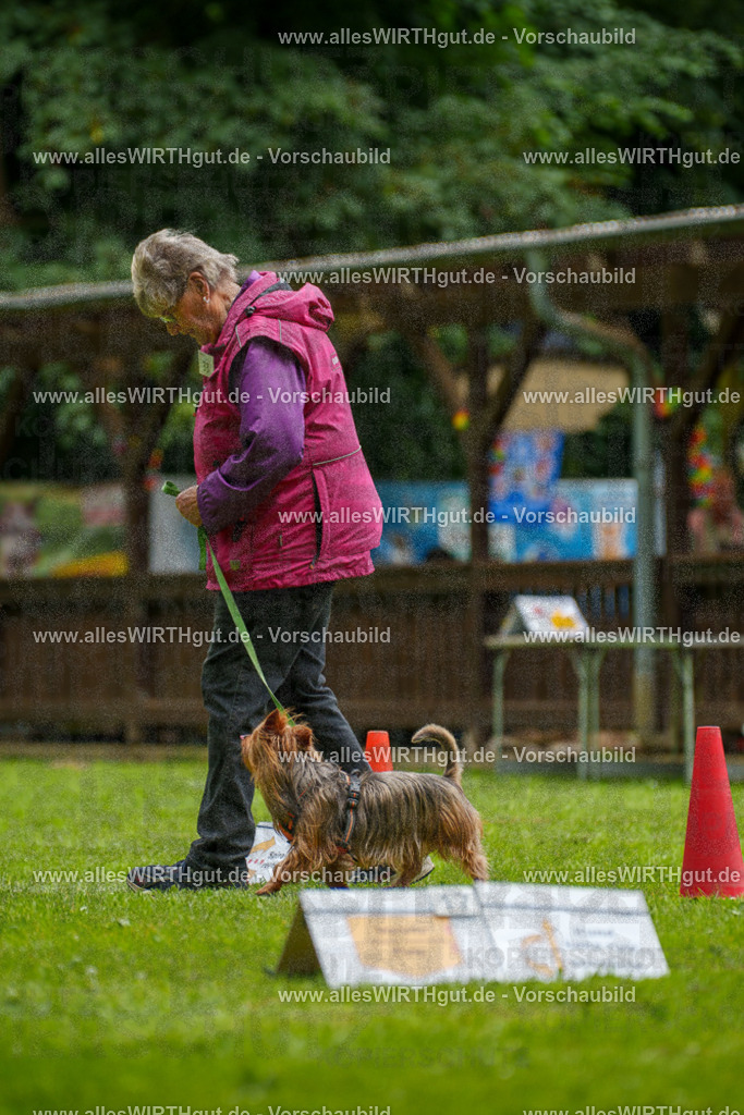 @allesWIRTHgut_Tierfotografie - www.allesWIRTHgut.de - 122401-7R508951 | Professionelle Tierfotografie in Mönchengladbach von Daniel Wirth (allesWIRTHgut). Liebevolle & natürliche Bilder von Hunden & Katzen für unvergessliche Erinnerungen.