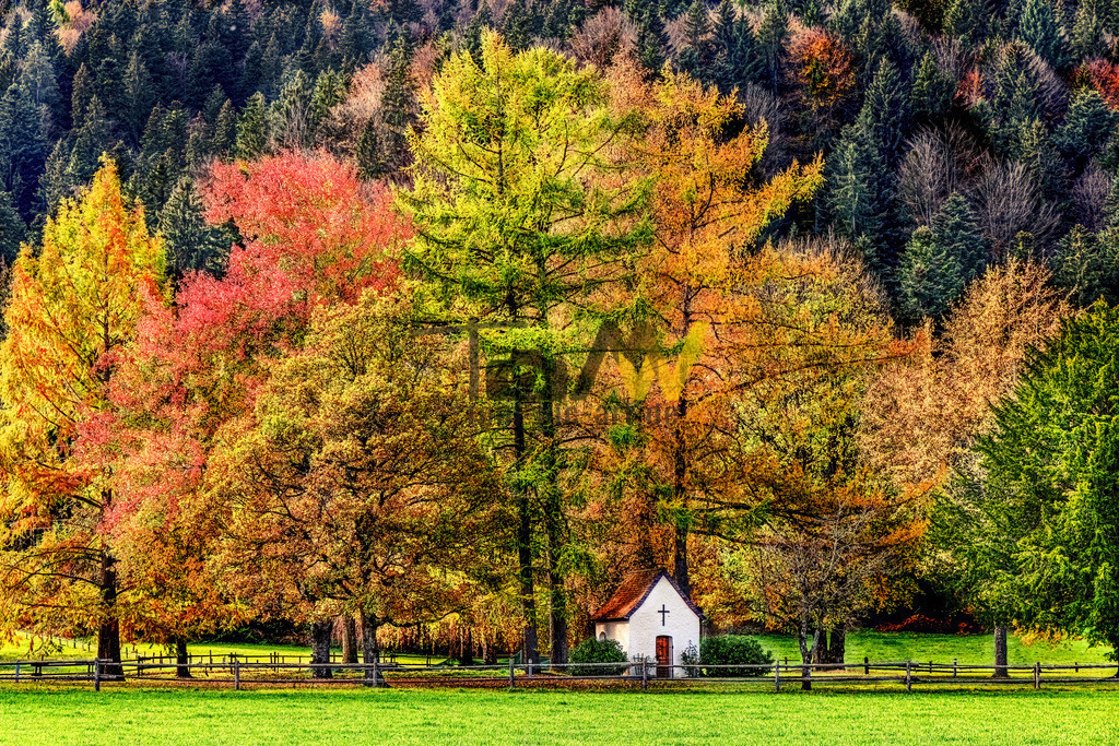 Kleine Kapelle in herbstlicher Kulisse-----------Tegernsee | Eine kleine Kapelle mitten auf einer Heuweise am Tegernsee. Schön umrahmt von in herbstlich eingefärbten Bäumen. Es zeigt eine kleine, weiß getünchte Kapelle mit einem Kreuz auf dem Dach, umgeben von Bäumen mit leuchtenden Herbstfarben.Die Szene ist typisch für die malerische Region Tegernsee in Bayern.Die Farben reichen von sattem Grün bis hin zu leuchtendem Rot, Orange und Gelb.Die Landschaft ist von einem niedrigen Holzzaun im Vordergrund und einem dichten Wald im Hintergrund geprägt. - Realisiert mit Pictrs.com