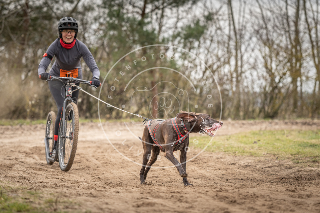 Pfotenfotografie_DV3A0077 | Hundefotografie, Tierfotograf, Pfotenfotografie, Fotoshooting Hund, Hunde Portrait, Hundesport, Hundeportraits, Heideshooting, Hunde, Sportfotograf, Hundefotograf, Turnierhundsport, THS,  - Realisiert mit Pictrs.com