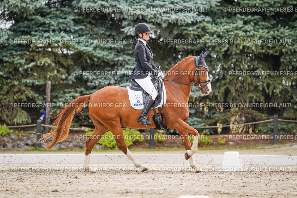 DSC01771 | Pferdegrafie