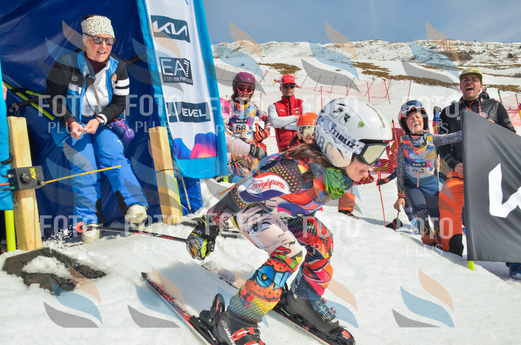 _ELE4989 | holidayphoto