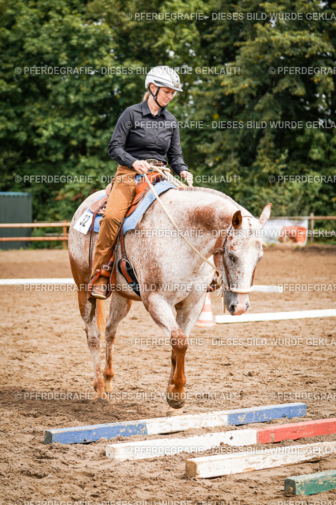 DSC04158 | Pferdegrafie