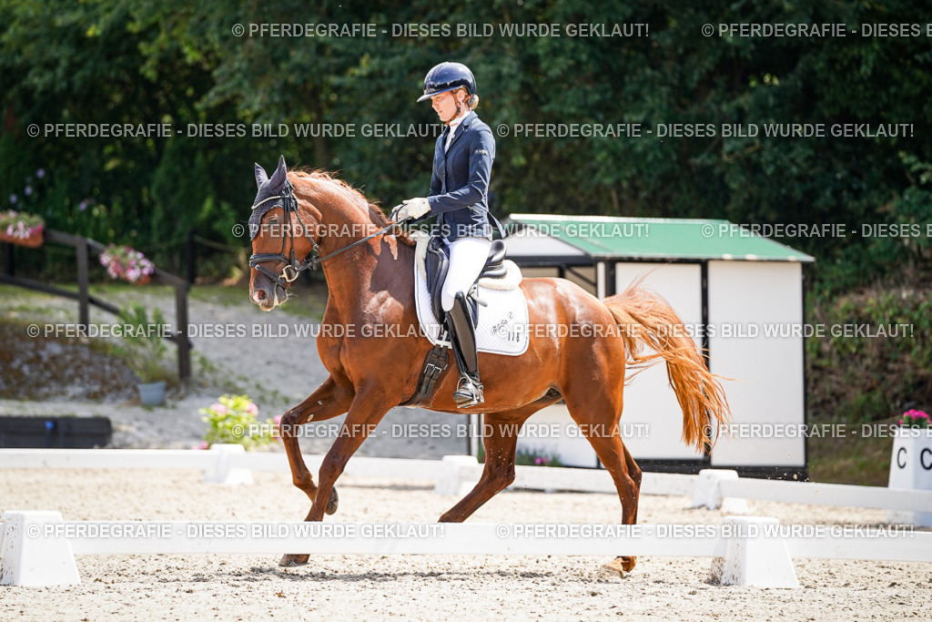 DSC01034 | Pferdegrafie