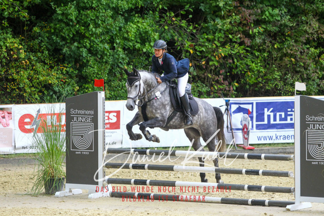 DKP40288 | Turniersportfotografie; Pferdefotografie; Dressurfotografie