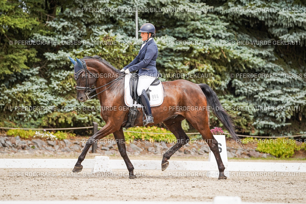 DSC05457 | Pferdegrafie