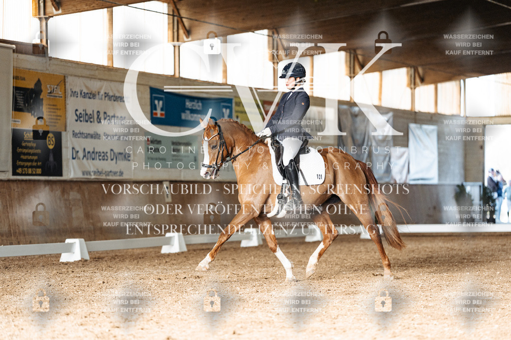 CK903002 | Turnierfotografie Pferdefotografie Trier Rheinland-Pfalz Pferdesport Reitsport Tierfotografie Sportfotografie Pferdevideo Pferdevideografie Equestrianvideography equestrianphotography  - Realisiert mit Pictrs.com