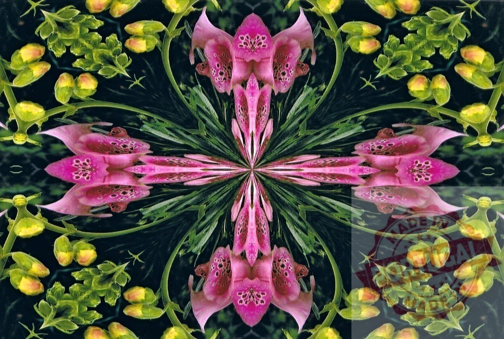 Kaleidoscope of pink foxglove and yellow freesia creating a floral cross | Abstract floral kaleidoscope with pink foxglove and yellow freesia forming a cross shape - Realized with Pictrs.com