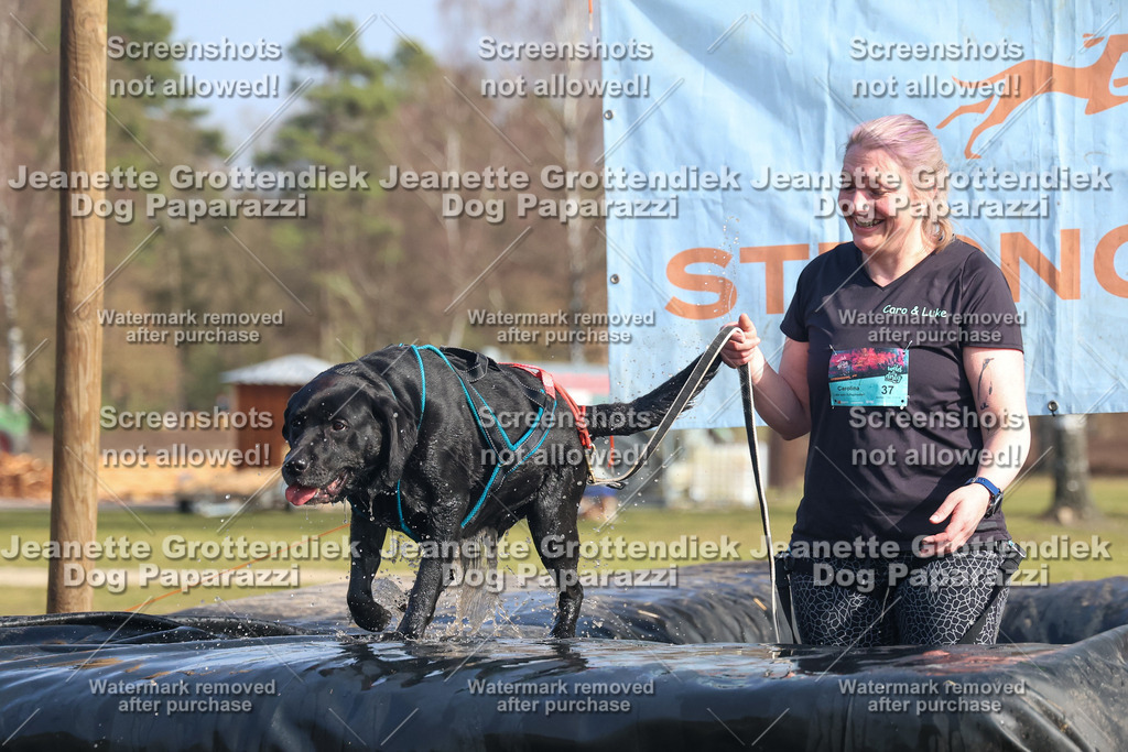 Dog Paparazzi - Strongdog North Mrz26-2500 | Dog Paparazzi Jeanette Grottendiek Fotografie & Videografie - Realisiert mit Pictrs.com