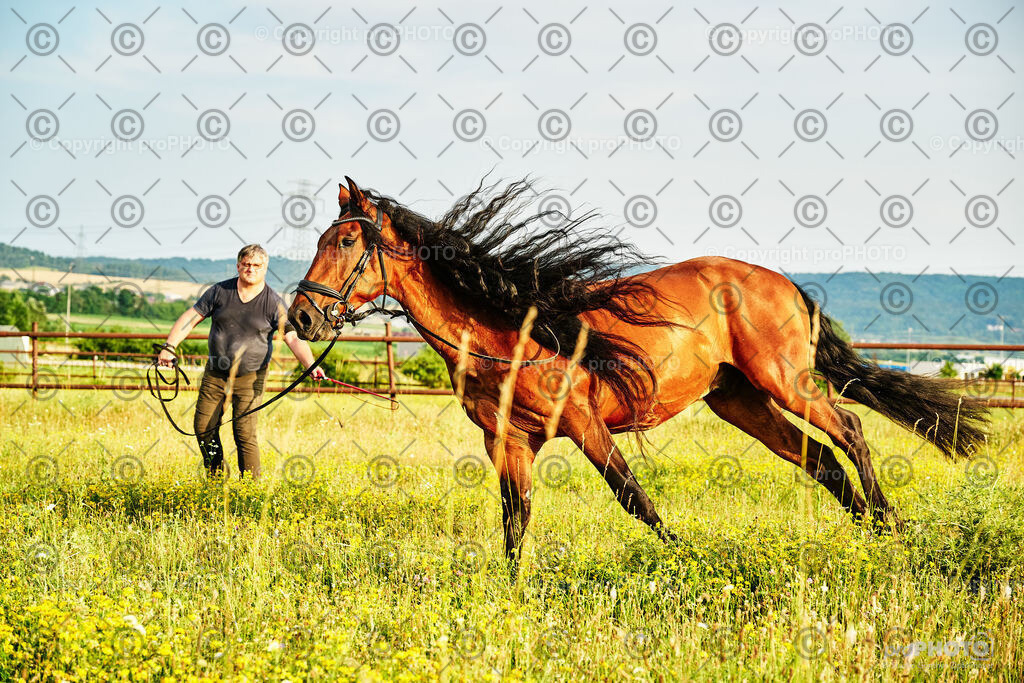 315_202406_Niki-Herodes_NZ9_0269 | proPHOTO - Realisiert mit Pictrs.com