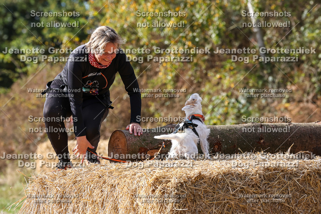 Dog Paparazzi - Strongdog 10-25-5297 | Dog Paparazzi Jeanette Grottendiek Fotografie & Videografie - Realisiert mit Pictrs.com