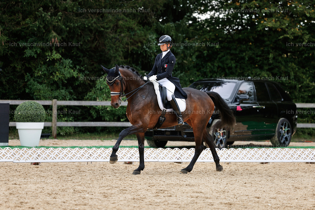 11-110-Dressur S___-StoibPH-1366 | working equitationturnier fotograf videograf stoibphotography marixx film working equitation deutschland reitsport turnierfotografie eventfotografie equestrian events