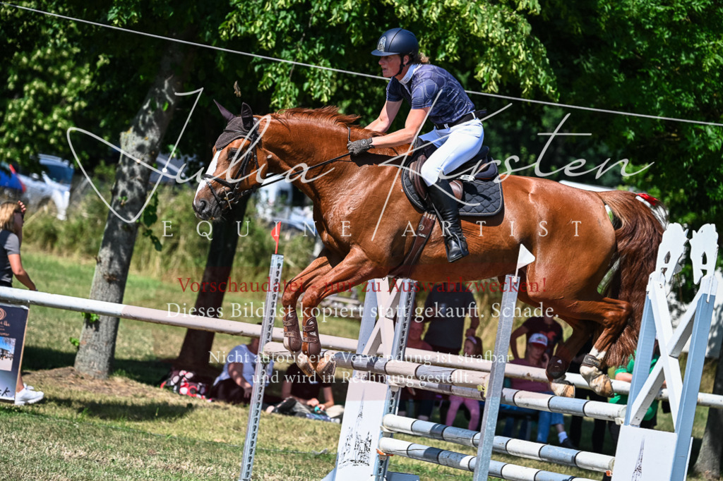 DSC_1573 | Pferde- und Turnierfotografie in Westsachsen. Pferdeportraits, Auftragszeichnungen und intuitive Kunst.
