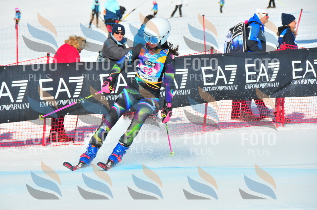 DSC_3950 | holidayphoto