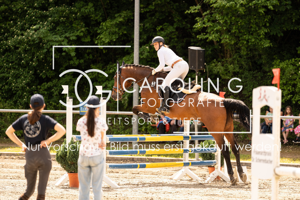 DSC02336 | Carolin Gieschke