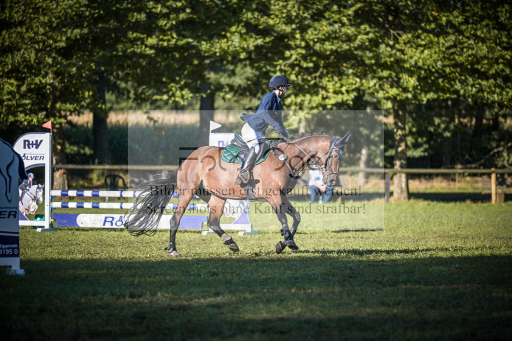 DOS_0289 | Entdecke hochwertige Reitturnierfotos von Foto Oger. Professionell, emotional und authentisch – jetzt Lieblingsmomente im Shop bestellen.Deutschlandweite Turnierfotografie. - Realisiert mit Pictrs.com
