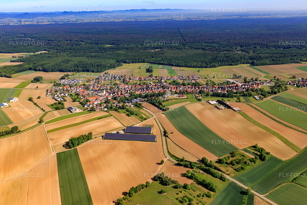 Vue aérienne: Vue d'ensemble du village depuis le sud à Niederlauterbach dans le département Bas Rhin, France – .Photo: IMG_131726.jpg prise le 22/05/2022 par Werner Riehm/FLY-FOTO.eu – Résolution de l'original: 5472 x 3648 px