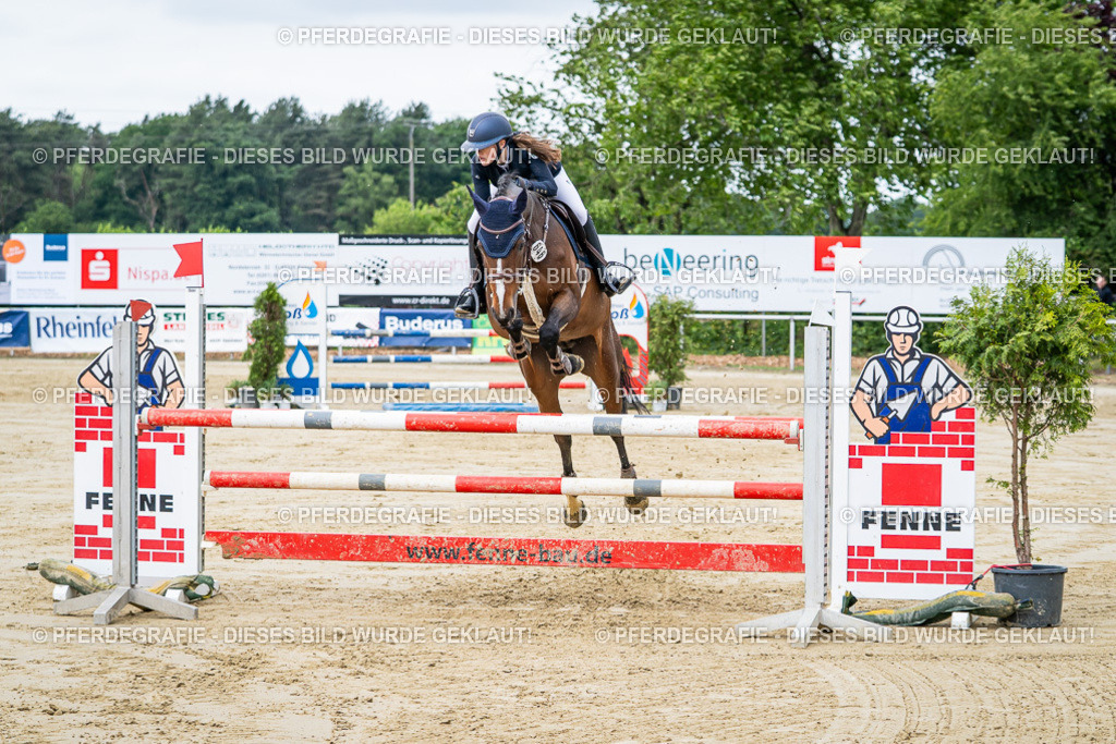 DSC04148 | Pferdegrafie