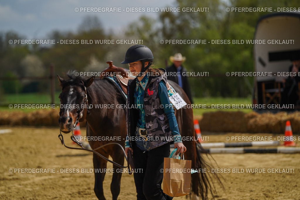 DSC04826 | Pferdegrafie