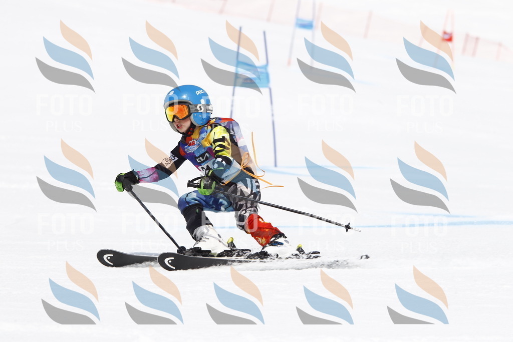 _U3G5583 | holidayphoto