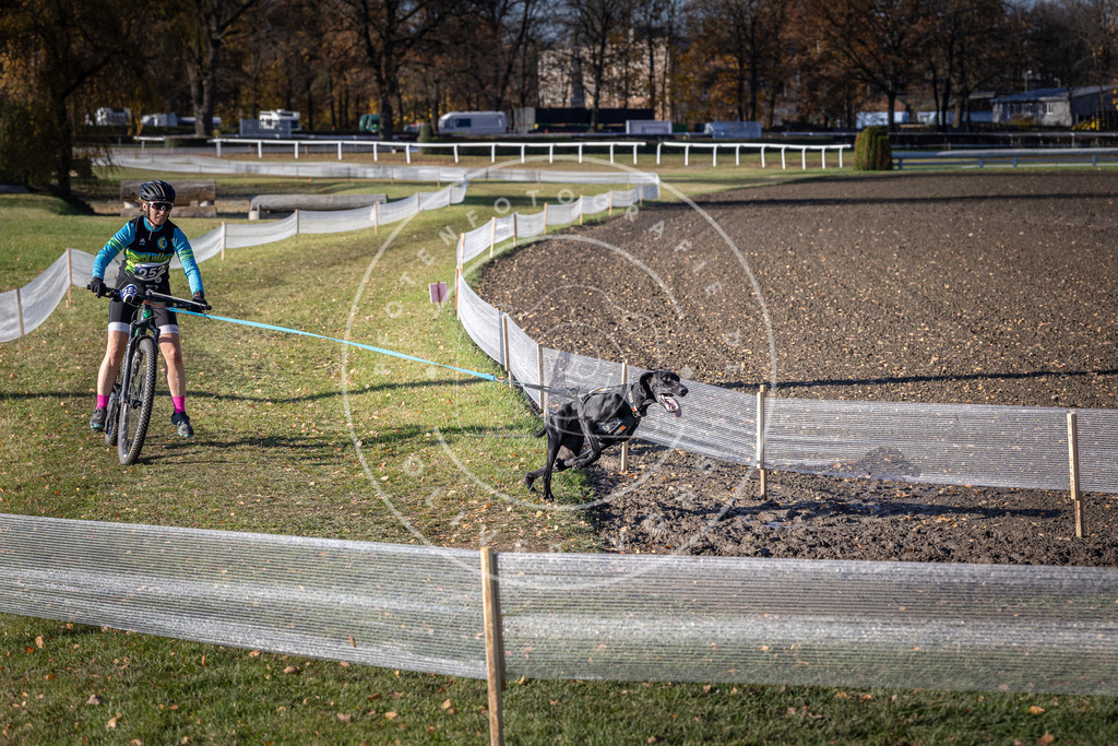 CaniXpix_DV3A4636 | Hundefotografie, Tierfotograf, Pfotenfotografie, Fotoshooting Hund, Hunde Portrait, Hundesport, Hundeportraits, Heideshooting, Hunde, Sportfotograf, Hundefotograf, Turnierhundsport, THS,  - Realisiert mit Pictrs.com