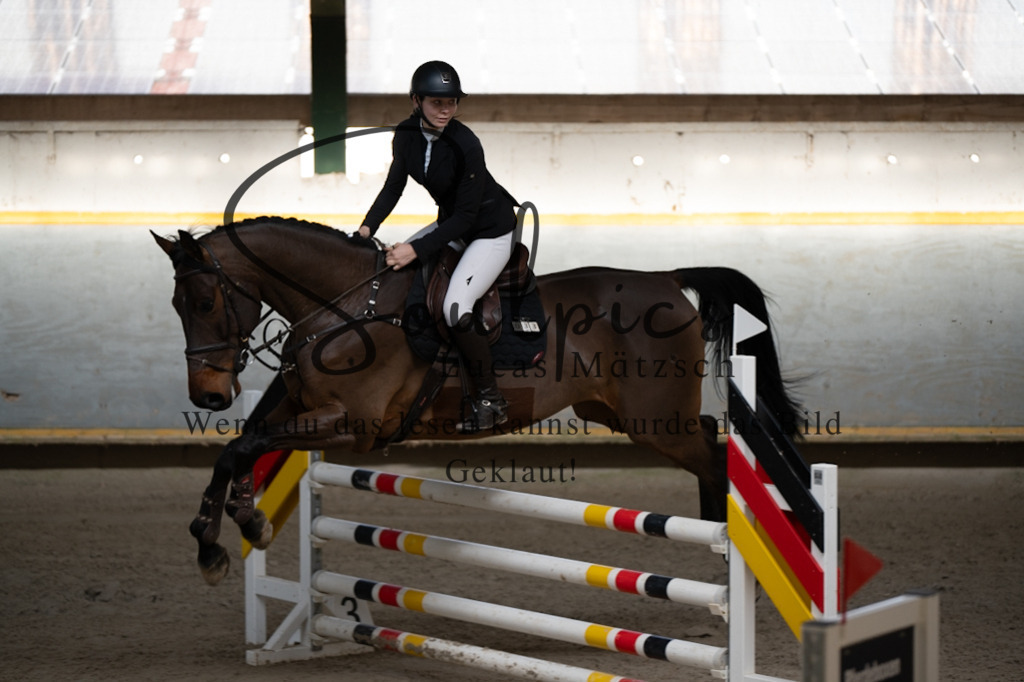 A7V02378 | Pferdefotograf