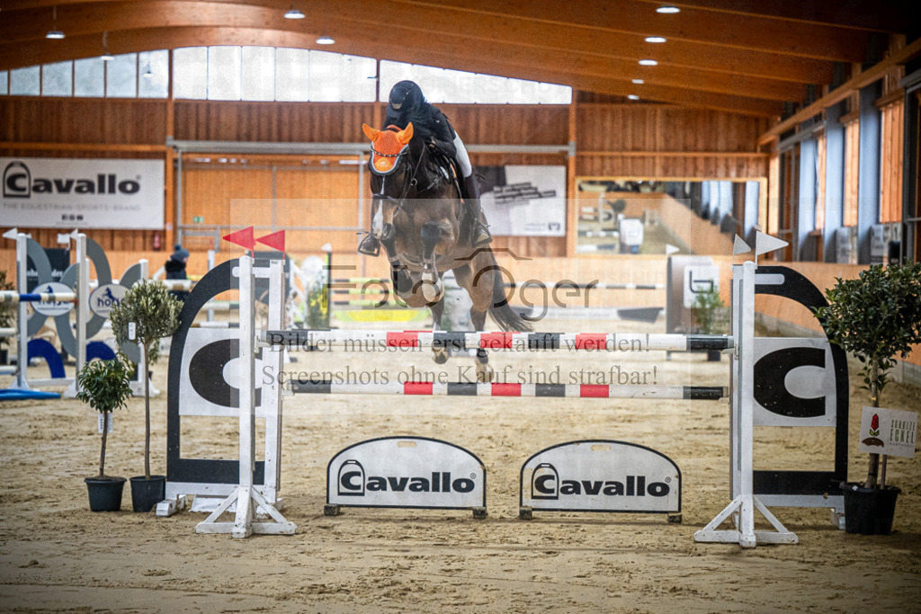 DOS_0208 | Entdecke hochwertige Reitturnierfotos von Foto Oger. Professionell, emotional und authentisch – jetzt Lieblingsmomente im Shop bestellen.Deutschlandweite Turnierfotografie. - Realisiert mit Pictrs.com