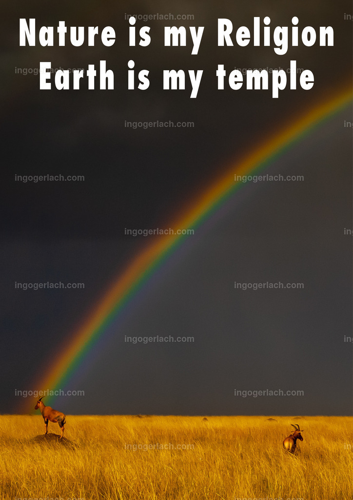 Nature is my religion The earth is my temple14 | Die Natur ist meine Religion - die Erde ist mein Tempel. Sympathisches Textbild mit Regenbogen und Topigazellen