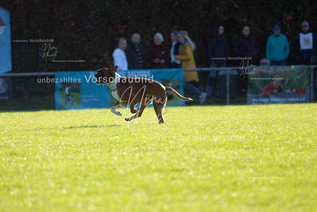 _16A4876 | Einzigartige Fotos von Hunden & Menschen –Actionfotos, Portraits, Vereinsaufnahmen & Paarshootings – authentisch, lebendig & mit Herz.