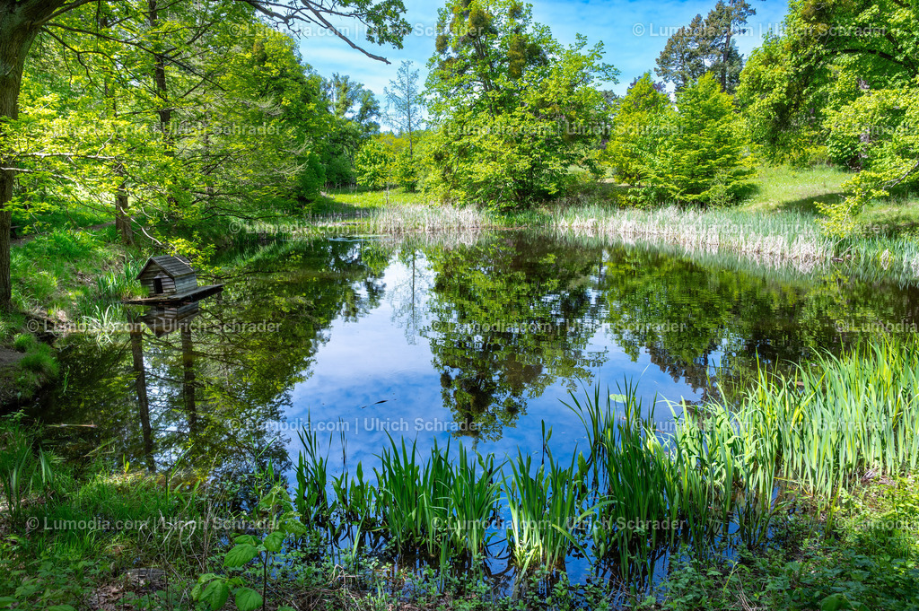10049-14075 - Landschaftspark Degenershausen | Stockfoto und Bilderpool mit Bildmaterial aus Deutschland, dem Harz, Halberstadt, Quedlinburg, Wernigerode und weltweit. Qualitativ hochwertige und professionelle Fotos anschauen und kaufen. - Realisiert mit Pictrs.com