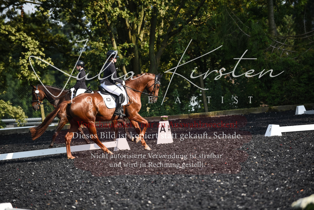 DSC_3255 | Pferde- und Turnierfotografie in Westsachsen. Pferdeportraits, Auftragszeichnungen und intuitive Kunst.