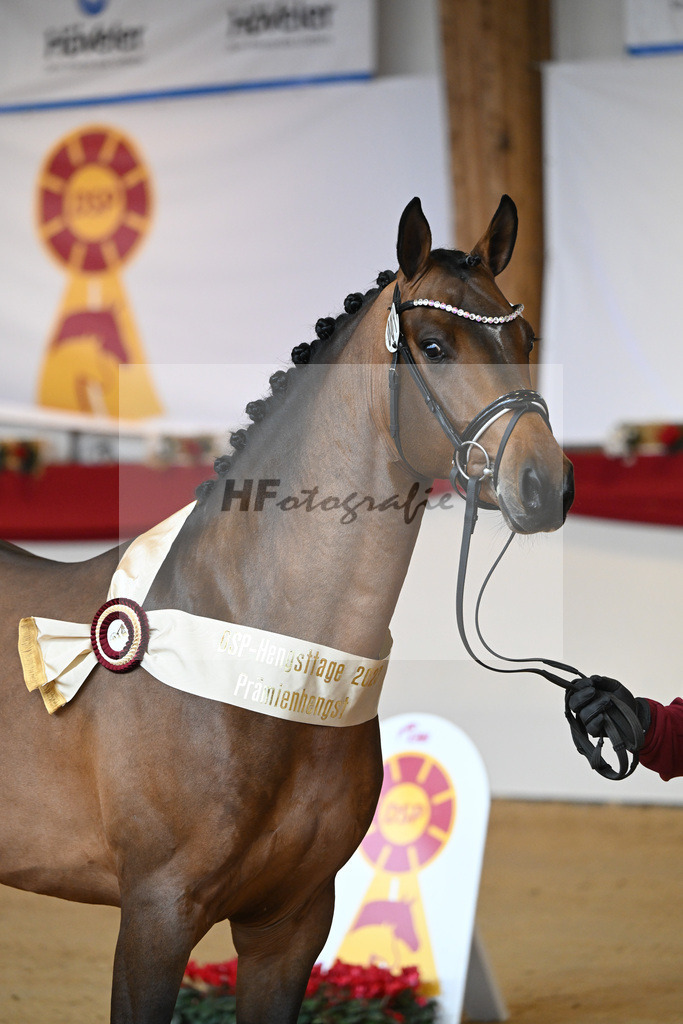 Kat-Nr. 1 Alaba_Wilbers_1231638 | hf-fotografie - Realizzato con Pictrs.com