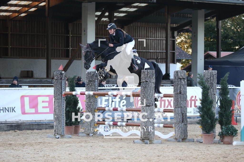 DL2Q4823 | Willkommen bei Brunnmayr - Design & Fotografie – Ihrem Spezialisten für Reitturniere und Pferdeveranstaltungen in Oberösterreich, Salzburg und Bayern! Seit über 17 Jahren sind wir leidenschaftlich dabei.