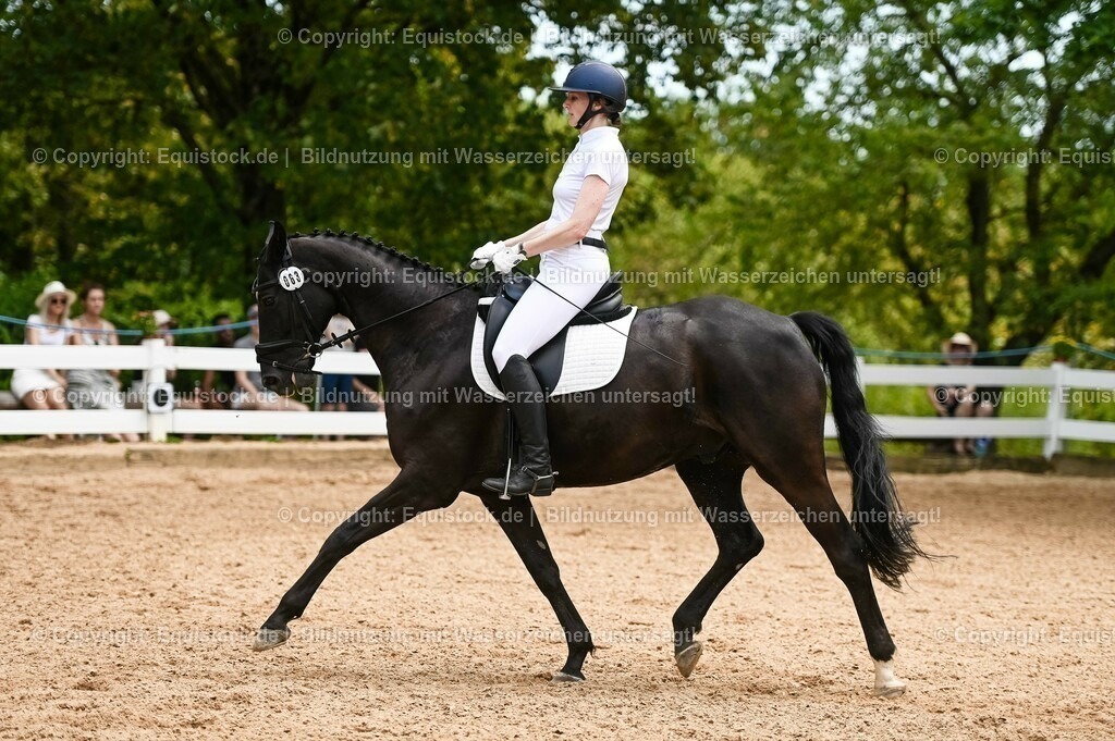 20230715_05_Dressurprüfung Kl.A++_0269 | equistock