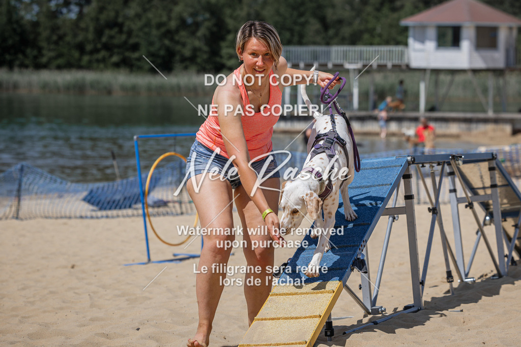 nelerasche_saBeachility_853 | nelerasche