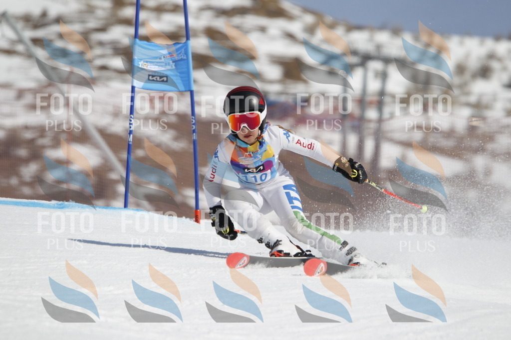 _U3G0492 | holidayphoto